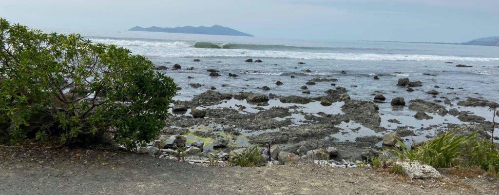 Kapiti
